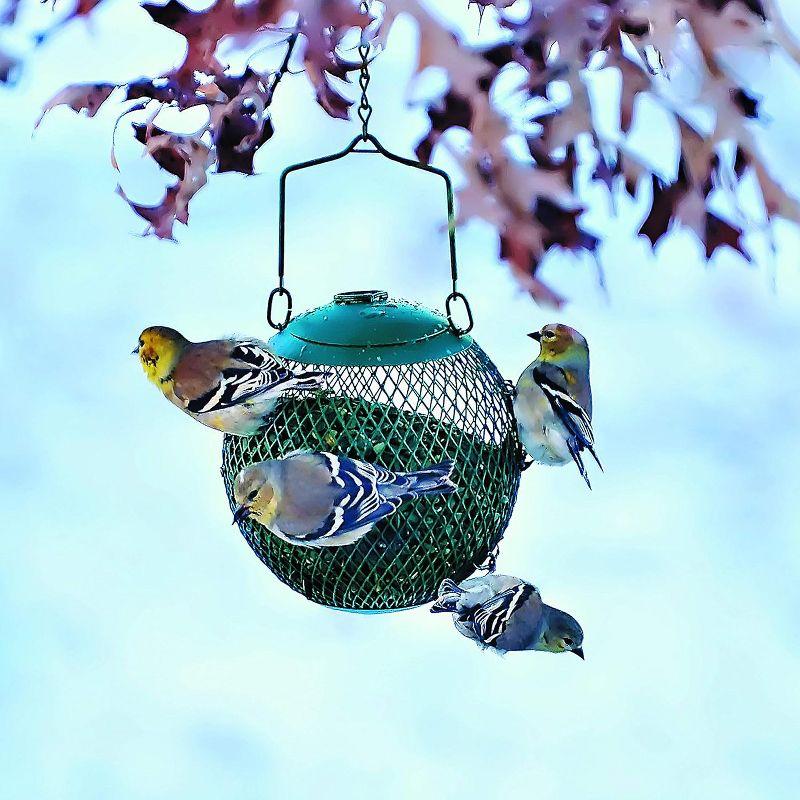 Perky-Pet Seed Ball Wild Bird Feeder - Green