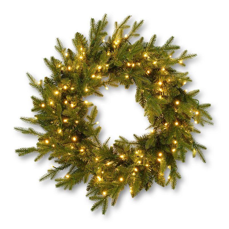 Dandan Faux Lighted Plug-In 24'' Wreath