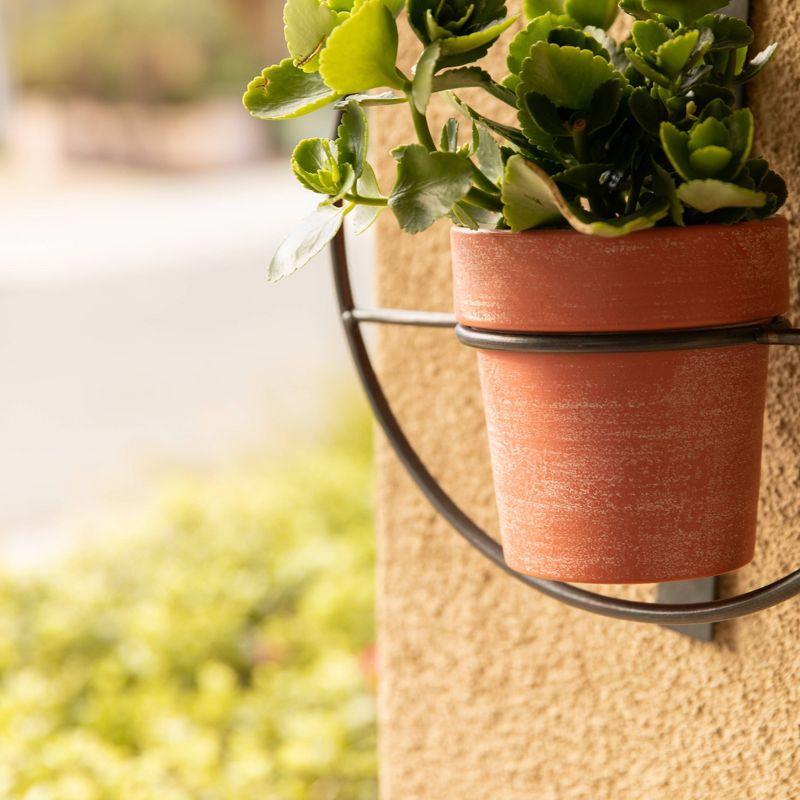 Set of 2 Hanging Planters with Circular Frame and Terra Cotta Metal Pots Black - Danya B.: Iron Wall-Mounted, Outdoor-Indoor Use