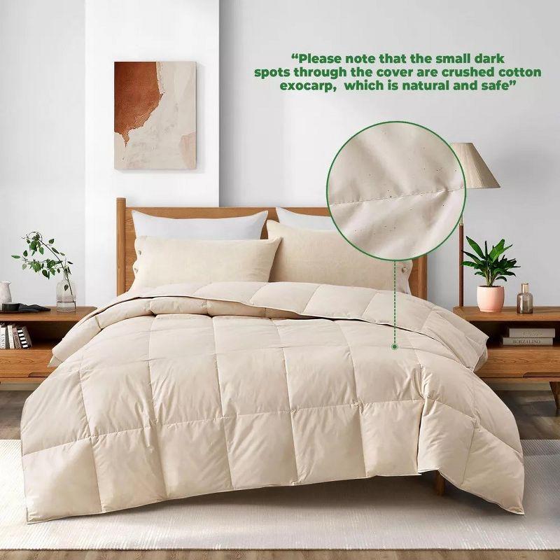 Puredown All Season Organic Cotton Down Comforter - 100% Natural, Chemical-Free, Medium Warmth Duvet Insert, Off-white, Full/Queen
