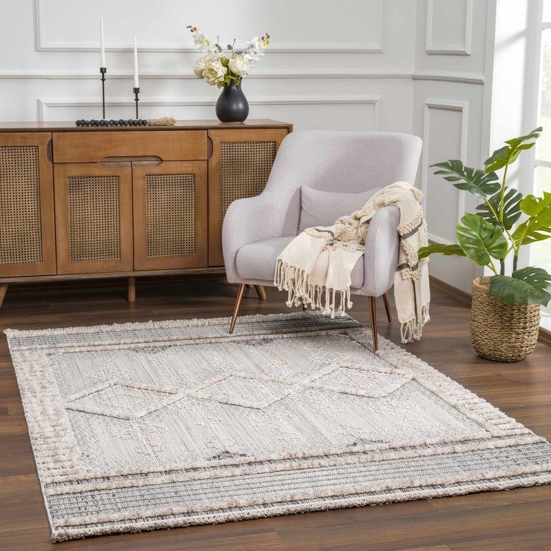 Amaga Gray Geometric High-Low Pile Polyester Area Rug