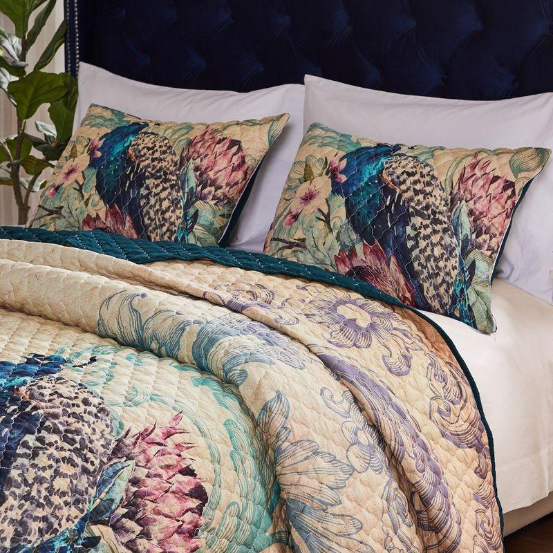 Barefoot Bungalow Eden Peacock Printed Pillowcase Soft Bed Pillows for Sleeping Sham, Standard 20x26-inch, Ecru