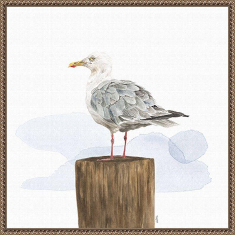 Amanti Art Birds of the Coast on White IV by Tara Reed Framed Canvas Wall Art Print