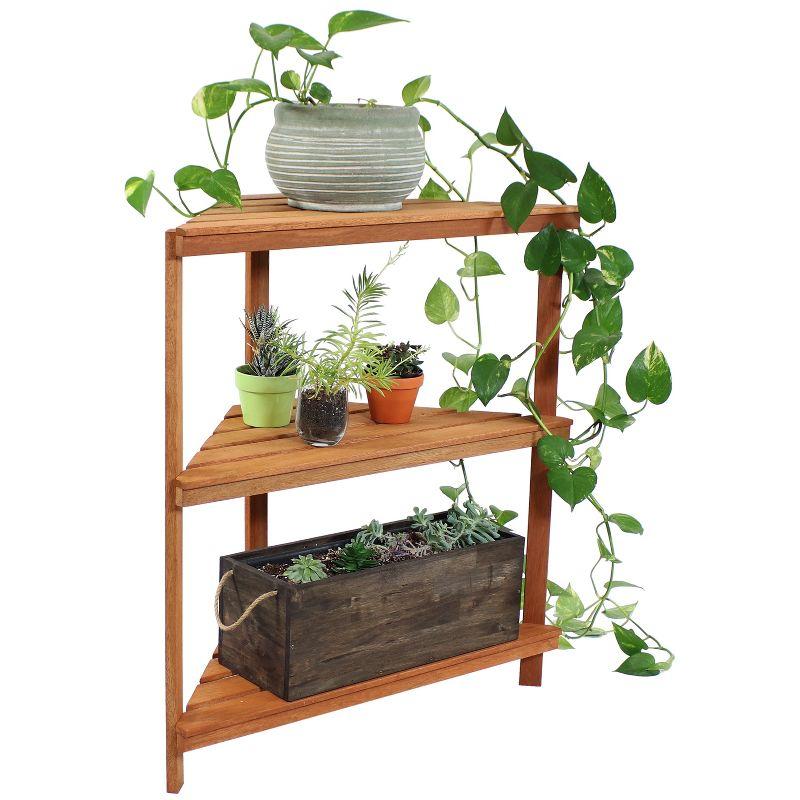 Sunnydaze Indoor/Outdoor Meranti Wood with Teak Oil Finish 3-Tiered Corner Flower Plant Stand Shelf Display - 36" - Brown