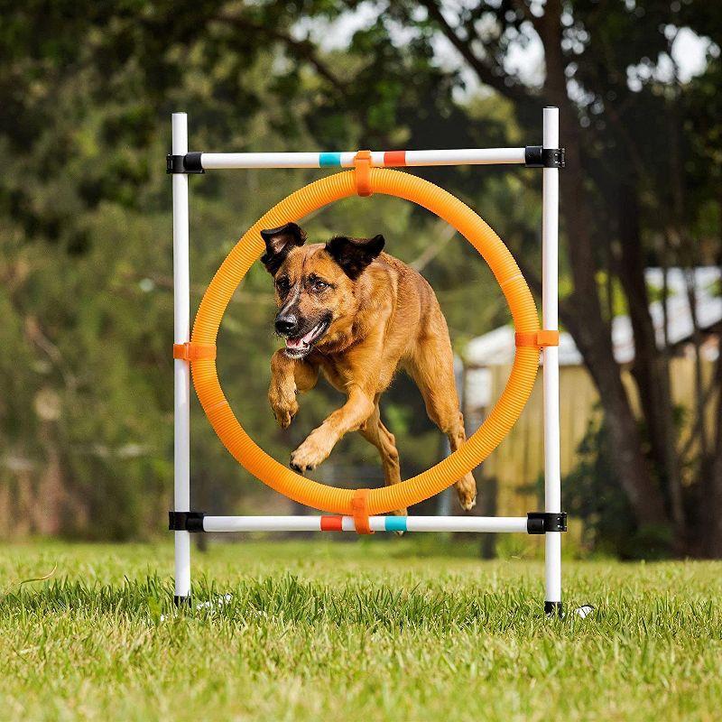 Adjustable Dog Agility Set with Hoop, Poles, and Bar Jump