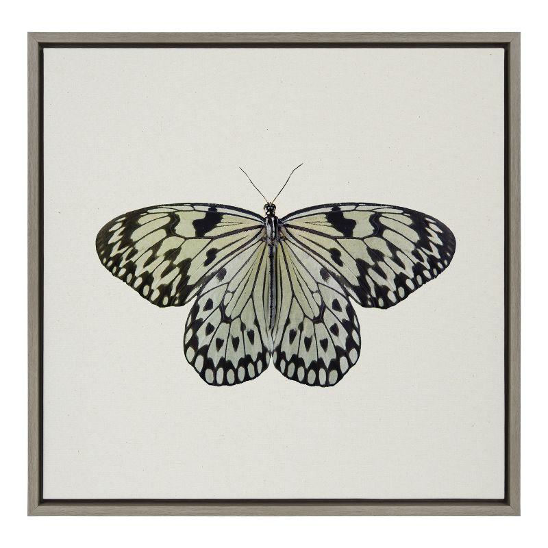 Gray Two Tone Butterfly Framed Canvas Wall Art, 22x22