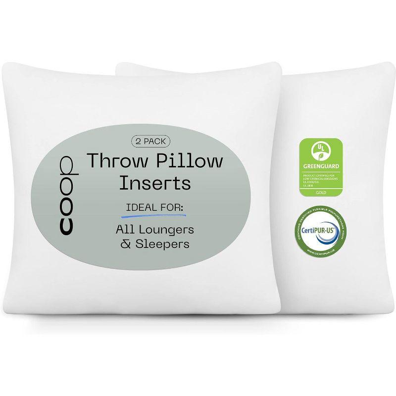 Coop Home Goods White Memory Foam Throw Pillow Inserts, 20x20, Set of 2