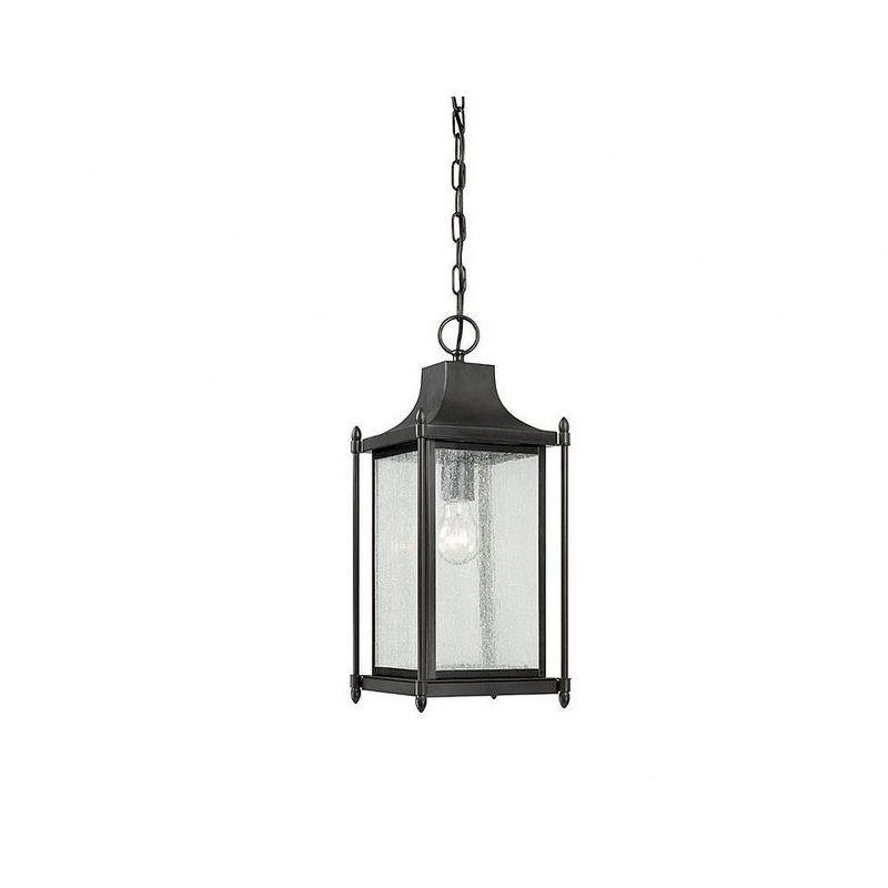 Dunnmore Black and Clear Glass Outdoor Hanging Lantern