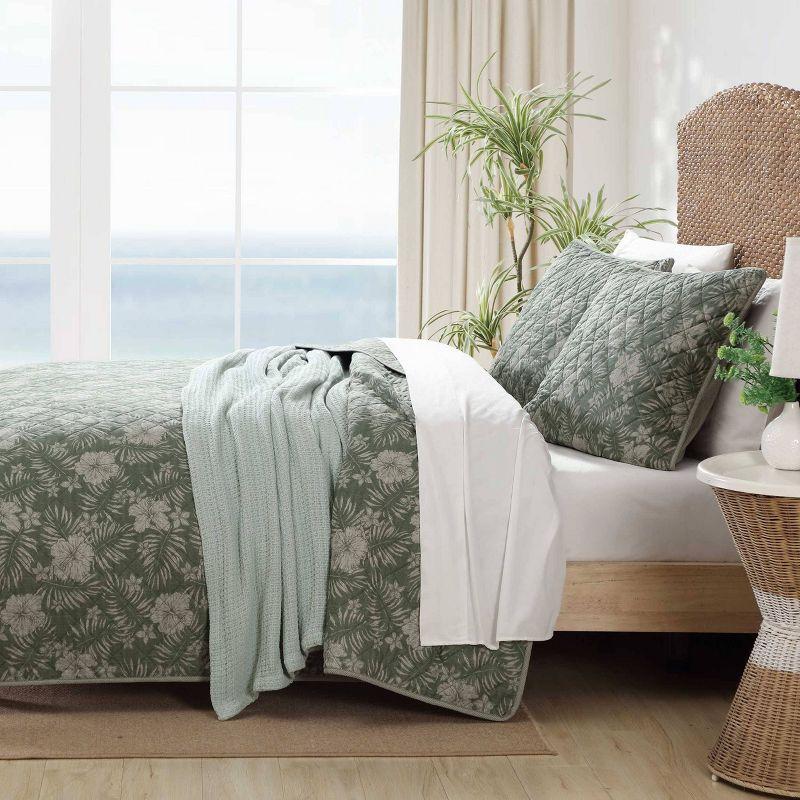 Tommy Bahama Hibiscus Jungle Cotton Reversible Green Quilt Set