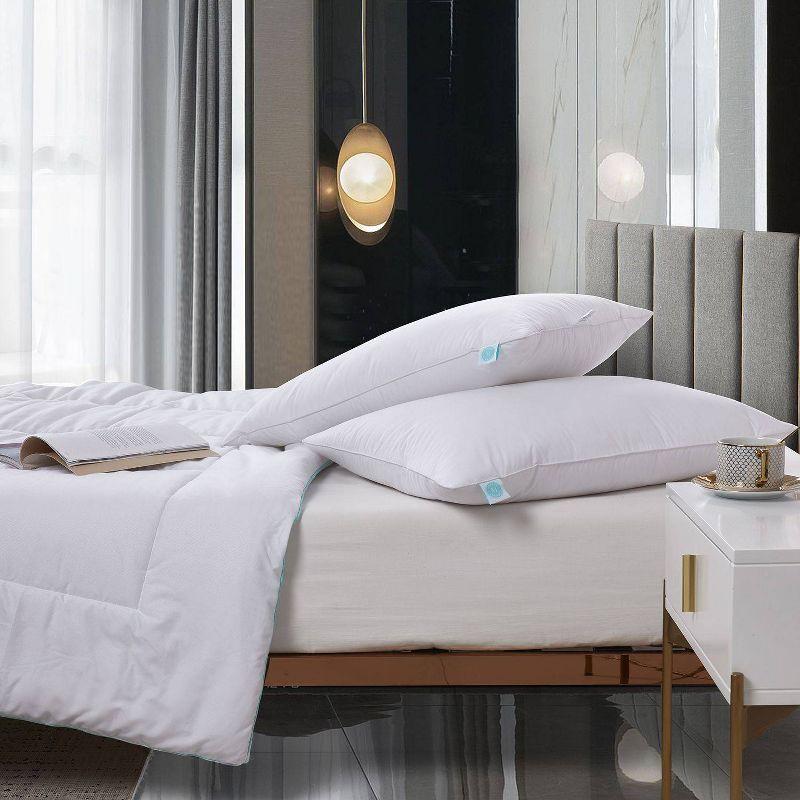 White Medium Firm Feather Down Bed Pillow Set