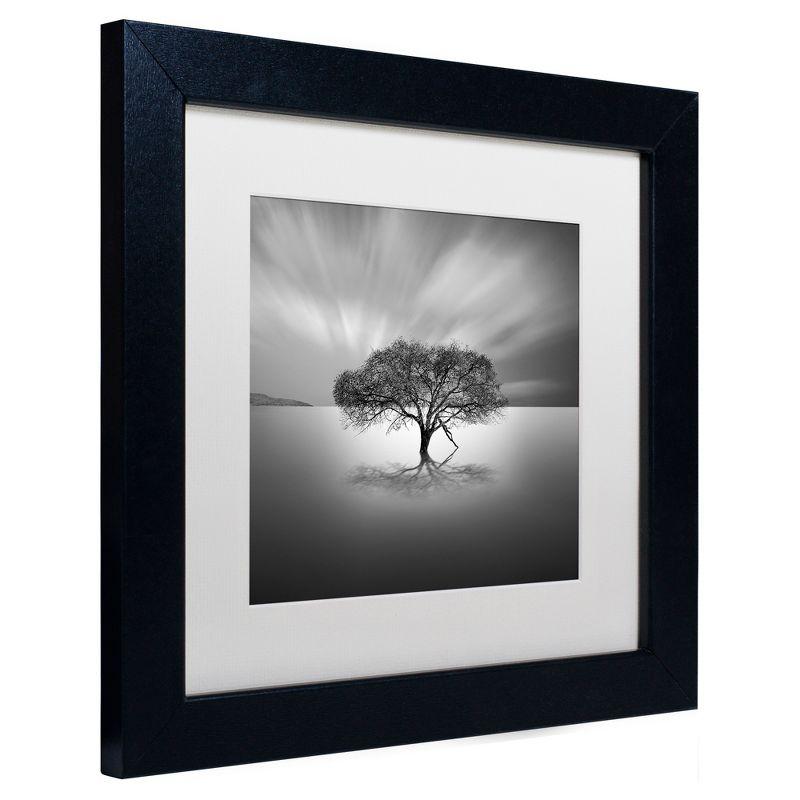 Trademark Fine Art Water Tree VIII Framed Photographic Print on Canvas & Reviews | Wayfair