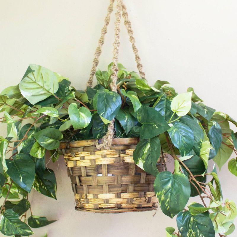 Pothos Hanging Basket Silk Plant - Nearly Natural