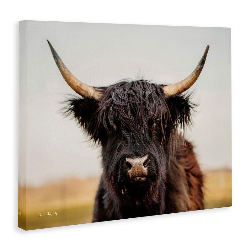 Stupell Industries Black Highland Cow Portrait, 30" x 24"