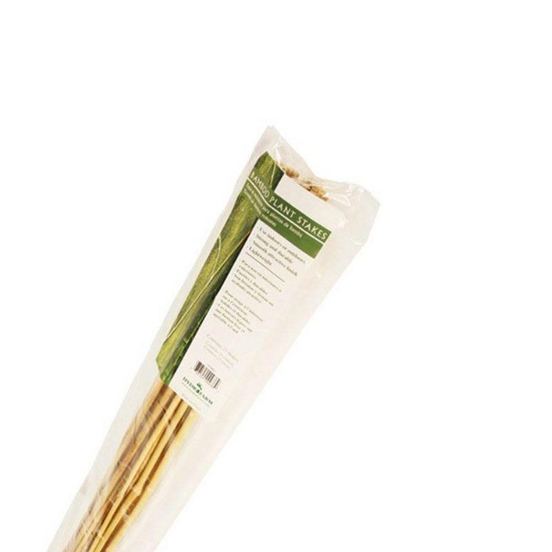 Arlmont & Co. Senetra Bamboo Plants & Flowers Garden Stake (Set of 25)
