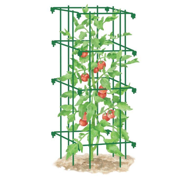 Gardener's Supply Company Lifetime Tomato Cage Plant Stand | 32" High Sturdy Steel Garden Plants Support for Tomatoes and Other Climbing Plants | No