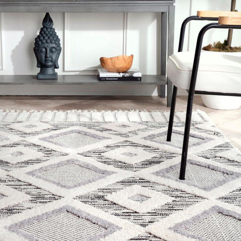 Silken Gray 5' x 7' Braided Geometric Shag Area Rug