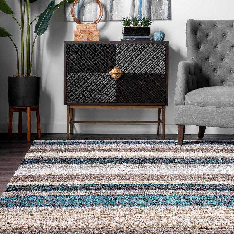 Drey Ombre Shag Area Rug - nuLOOM