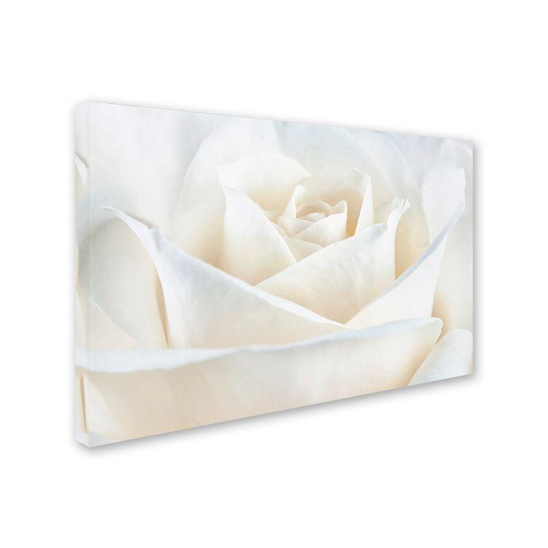 Pure White Rose Abstract Canvas Art for Nursery