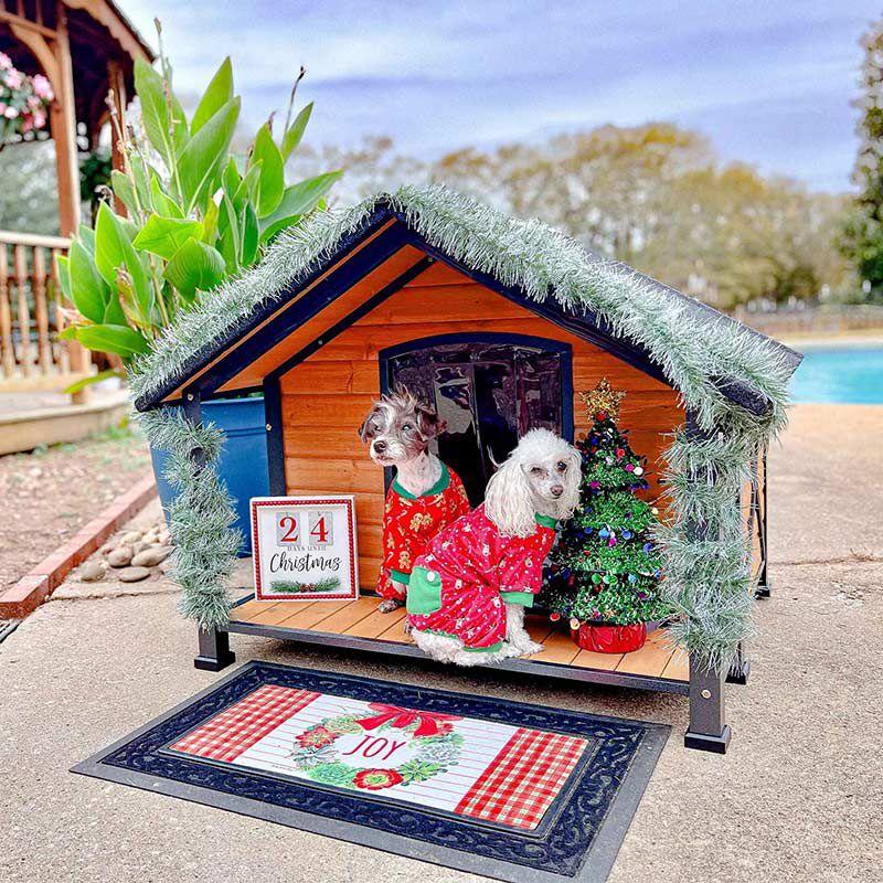 Tucker Murphy Pet™ Schoharie Igloo Style Dog House