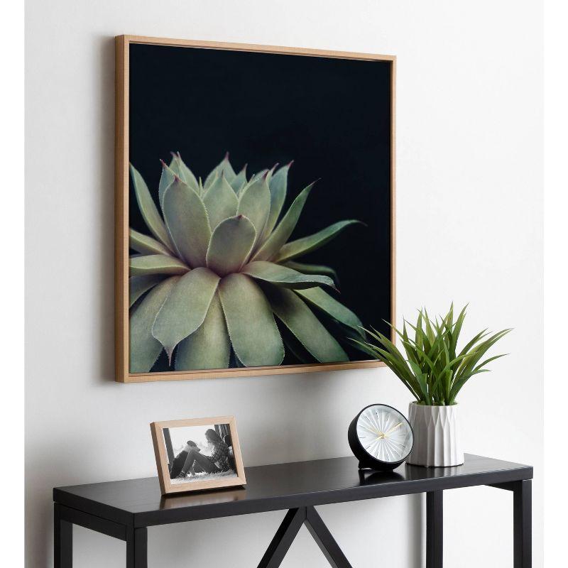 Sylvie Succulent Framed Canvas by F2 Images - Kate and Laurel