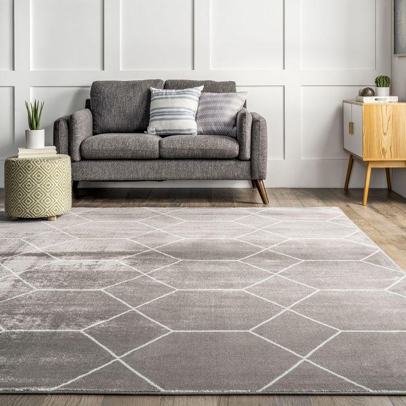 Calm Geometric Honeycomb Gray Synthetic Area Rug 5x8