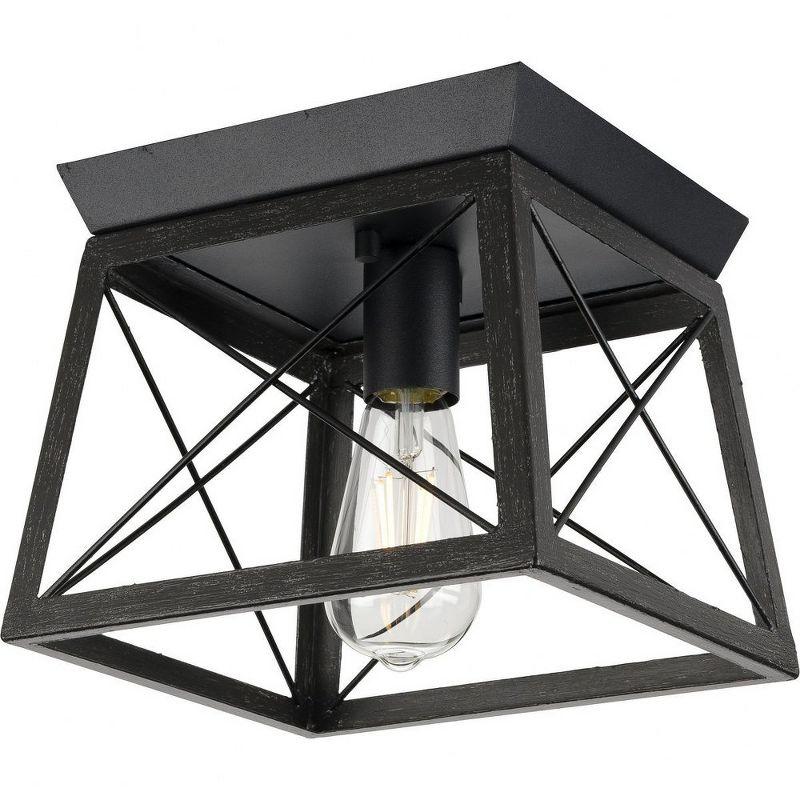 Progress Lighting Briarwood 1-Light Flush Mount, Textured Black, Faux-Painted Wood Enclosure