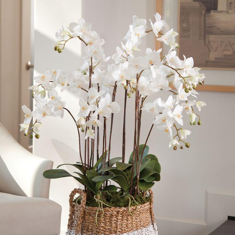 Plum & Post Phalaenopsis Orchid Faux (Fake) Drop-In 36"