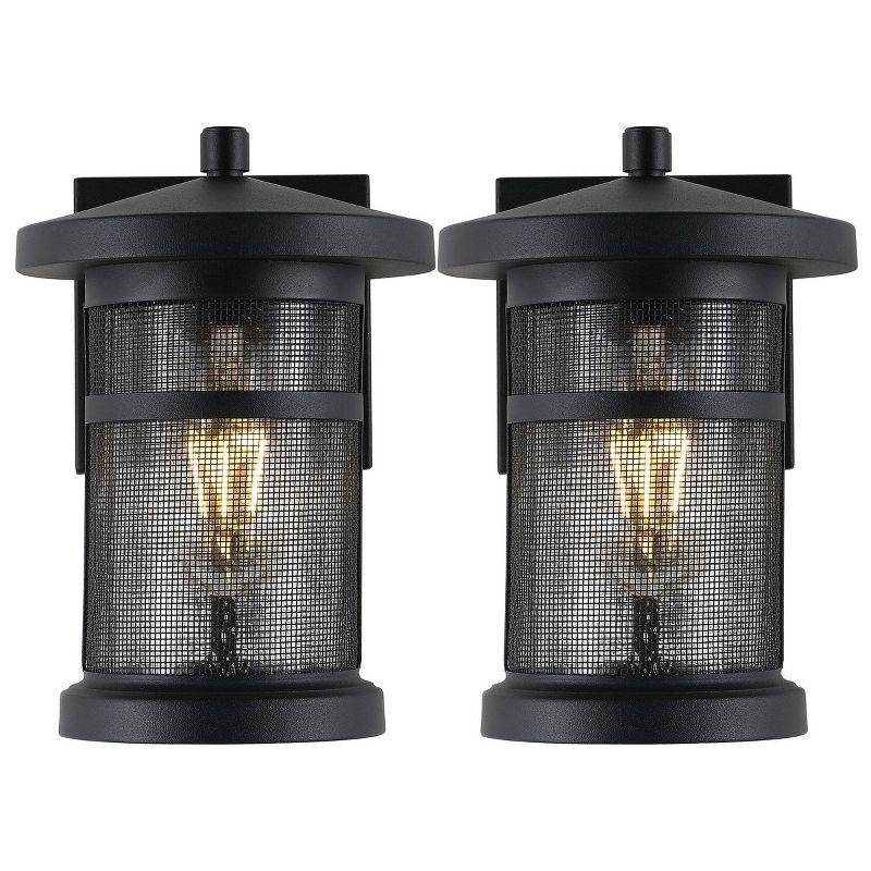 Osprey Iron Wall Light