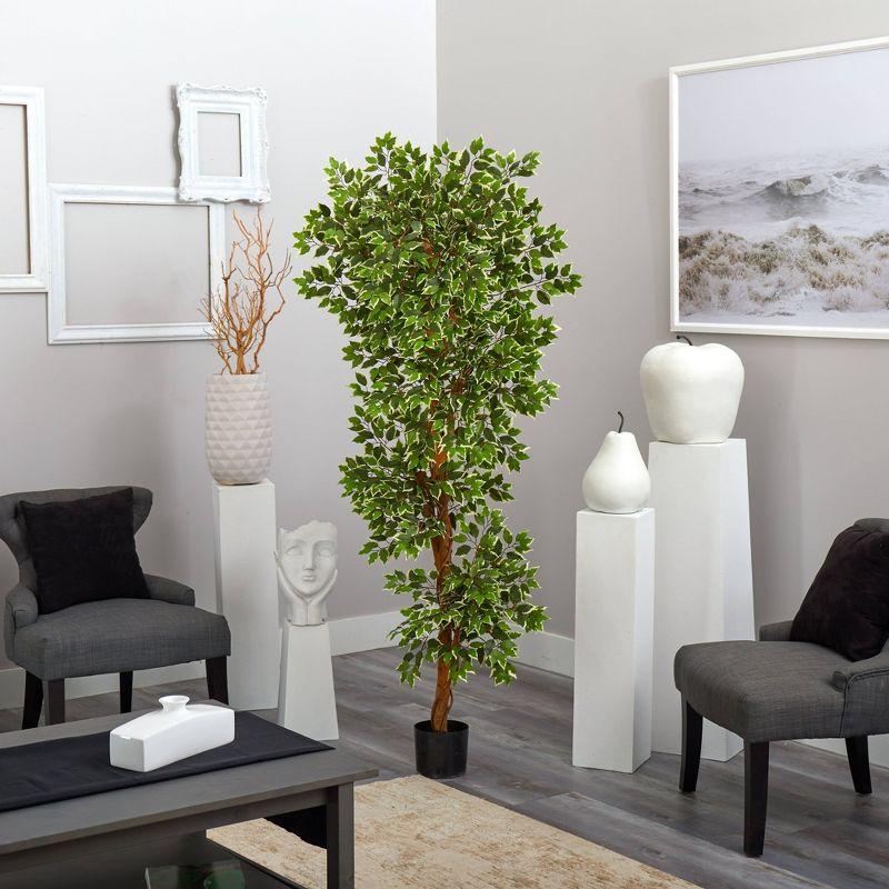 6' Variegated Silk Ficus Topiary Floor Plant