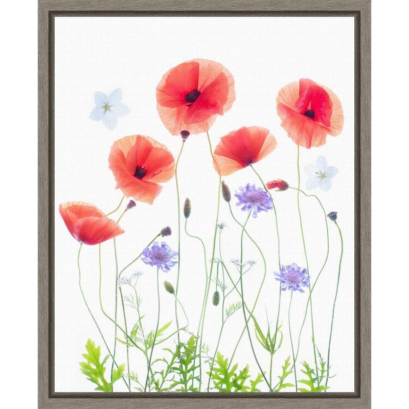 Framed Botanical Poppy Garden Canvas Print, 16 x 20 inches