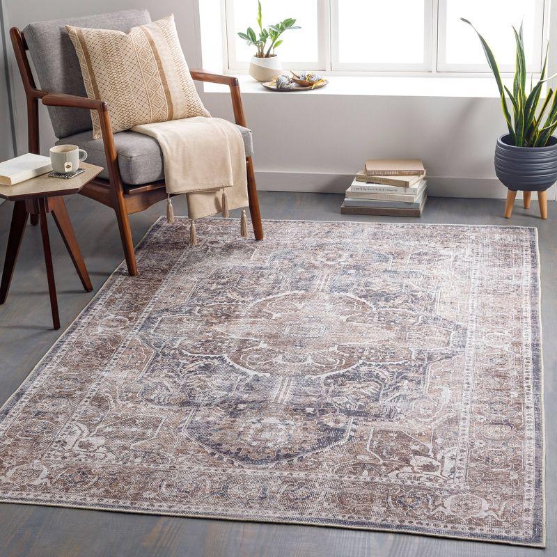 Caspian Boho Vintage-Inspired Gray Chenille 9' x 12' Area Rug