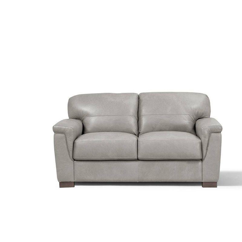 67" Cornelia Sofa Beige Leather - Acme Furniture: Upholstered, Wood Frame, Includes Accent Pillow