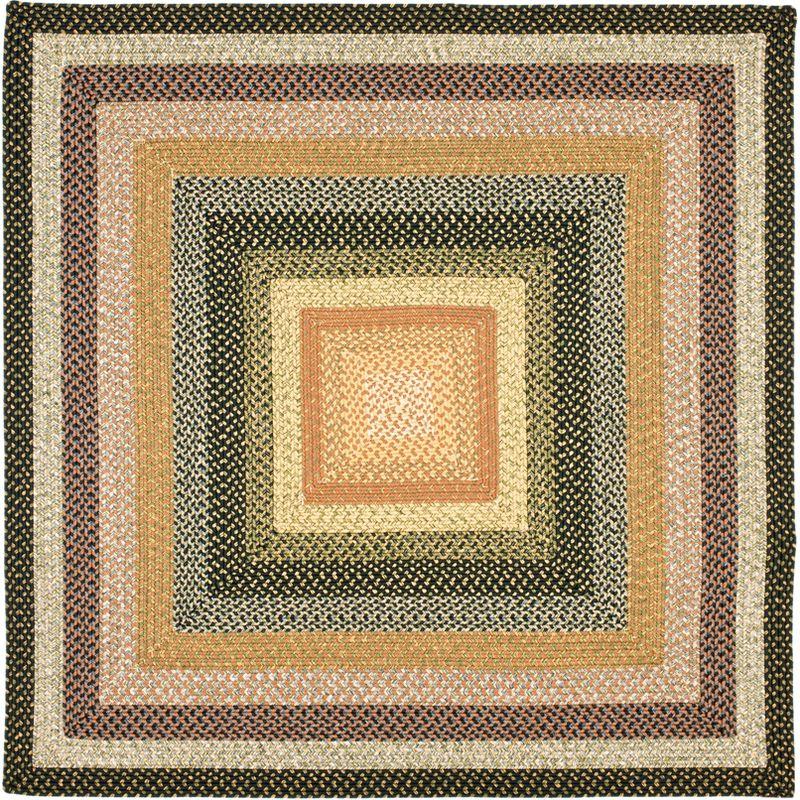 Braided BRD308 Hand Woven Area Rug - Multi - 6'x6' - Safavieh.