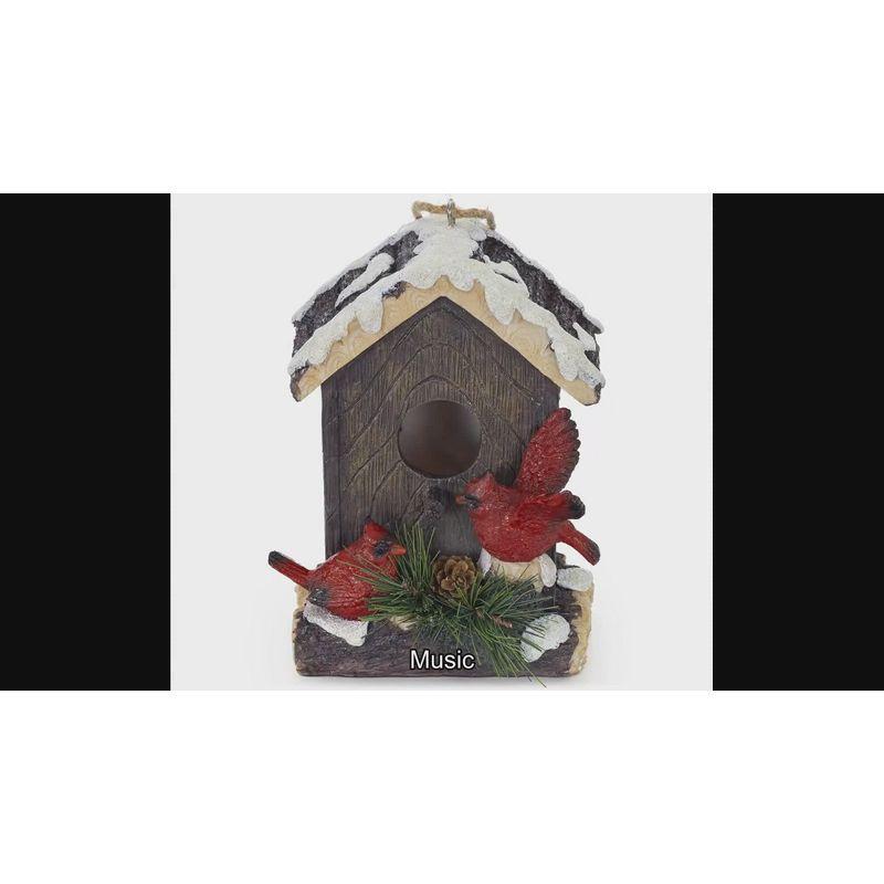 VP Home Acron Welcome Hanging Bird Houses for Outside