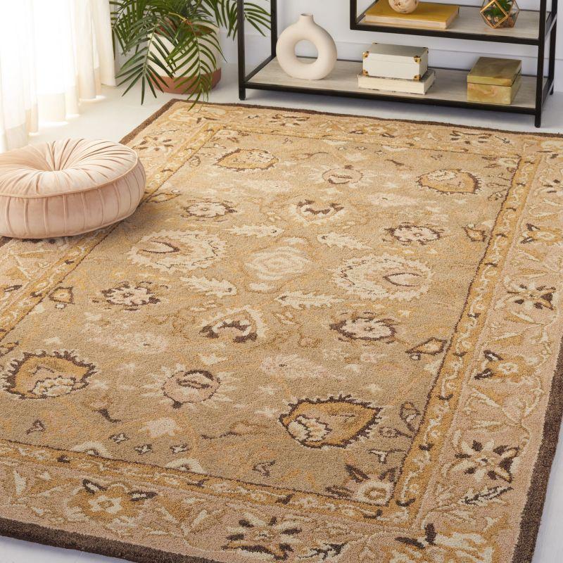 Anatolia AN512 Hand Tufted Indoor Area Rug - Sage/Beige - 4'x6' - Safavieh