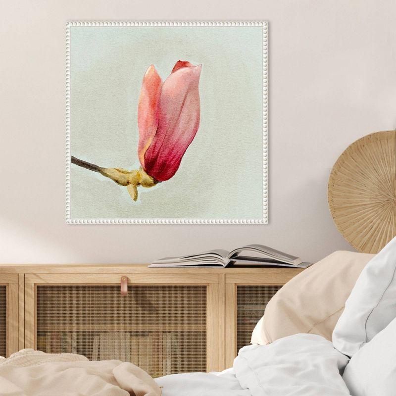 Amanti Art Magnolia Bud I by Katie Oshea Framed Wall Art Print