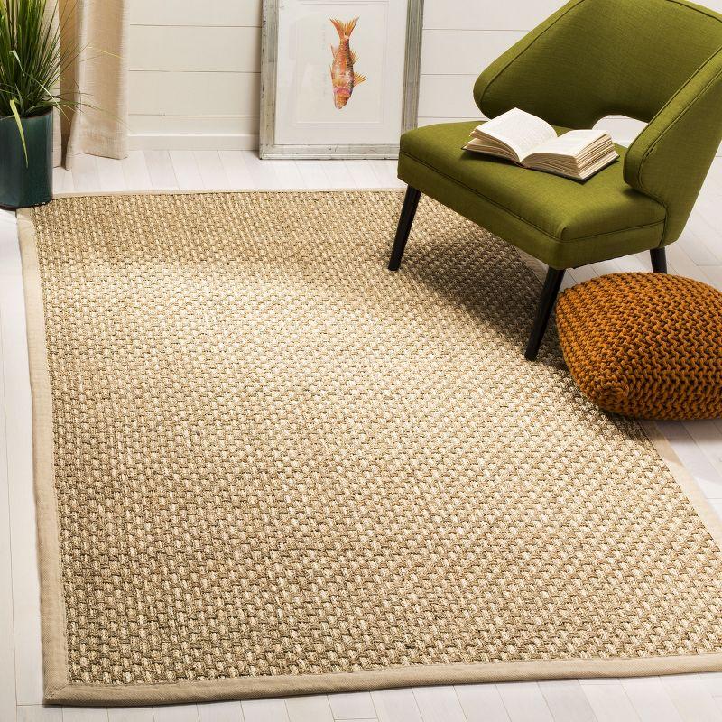 Natural Fiber NF118 Power Loomed Area Rug  - Safavieh