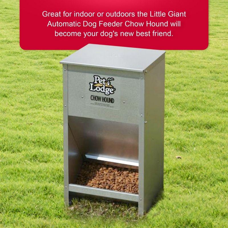 Little Giant Pet Lodge Dry Food Automatic Steel Dog Feeder Chow Hound 25 Pound Capacity
