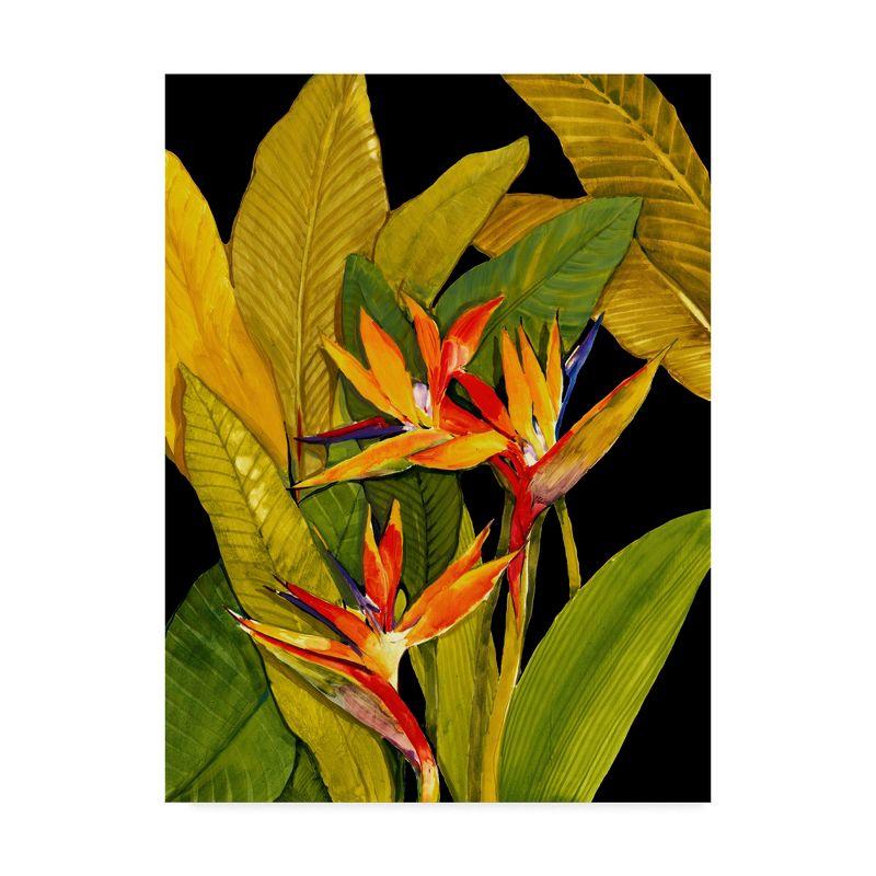 Tim Otoole 'Dramatic Bird Of Paradise' Canvas Art - 35x47