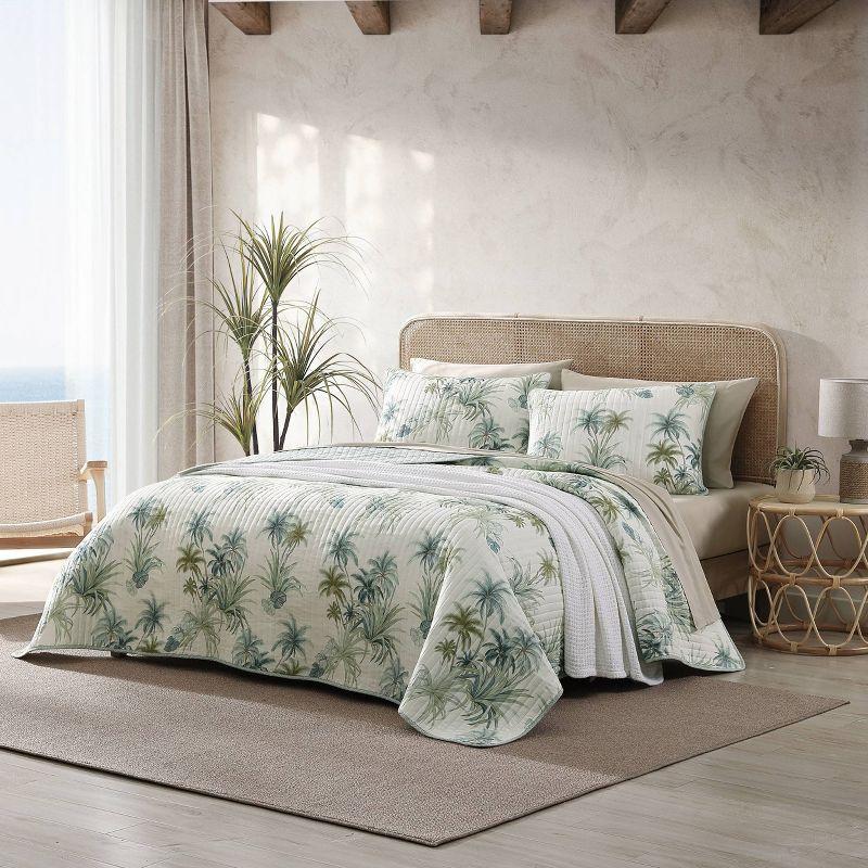 Tommy Bahama Home Tommy Bahama Serenity Palms Aqua Cotton Reversible Quilt