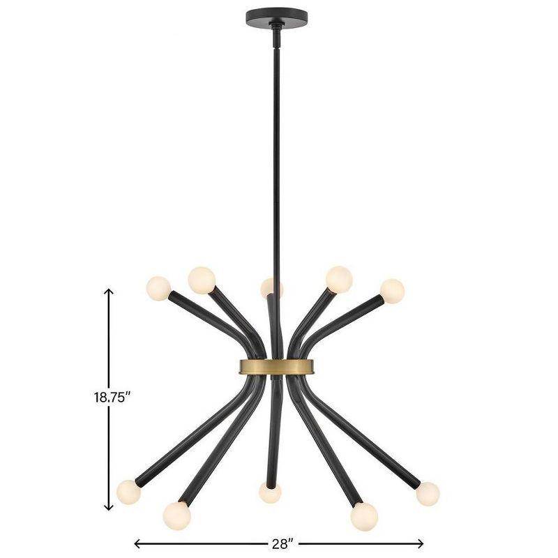 Lark Axton 10 - Light Chandelier in  Black/Lacquered Brass