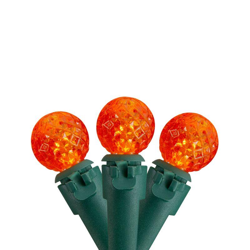 Northlight Seasonal 50 Count LED G12 Berry Mini Christmas Lights