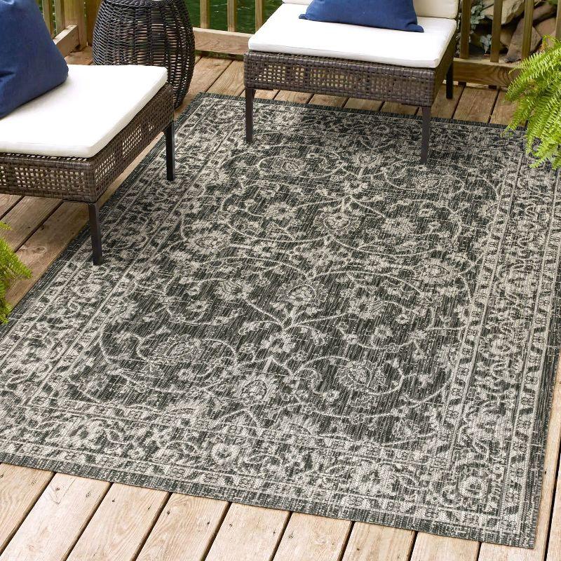 4'x6' Palazzo Vine and Border Textured Weave Indoor/Outdoor Area Rug, Black/Gray - JONATHAN Y