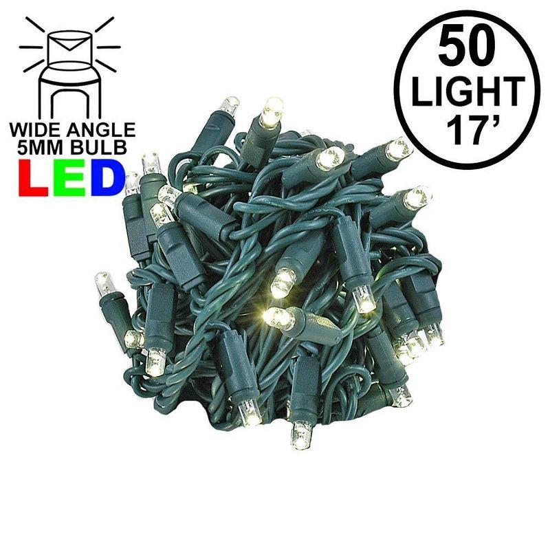 Novelty Lights Warm White LED Christmas String Lights 50 Mini Bulbs (Green Wire, 17 Feet)