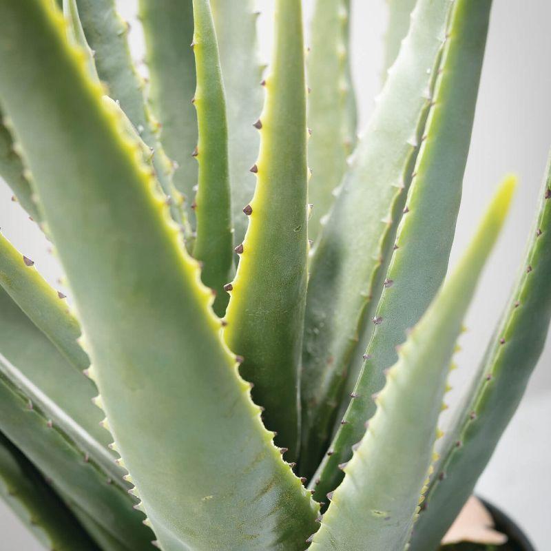 Sullivans Artificial 24" Potted Aloe Plant
