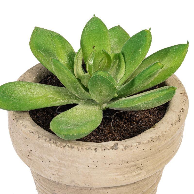 Vickerman 4" Artificial Assorted Potted Succulents, Set of 6. In a 2"Lx2"Wx2"H base.