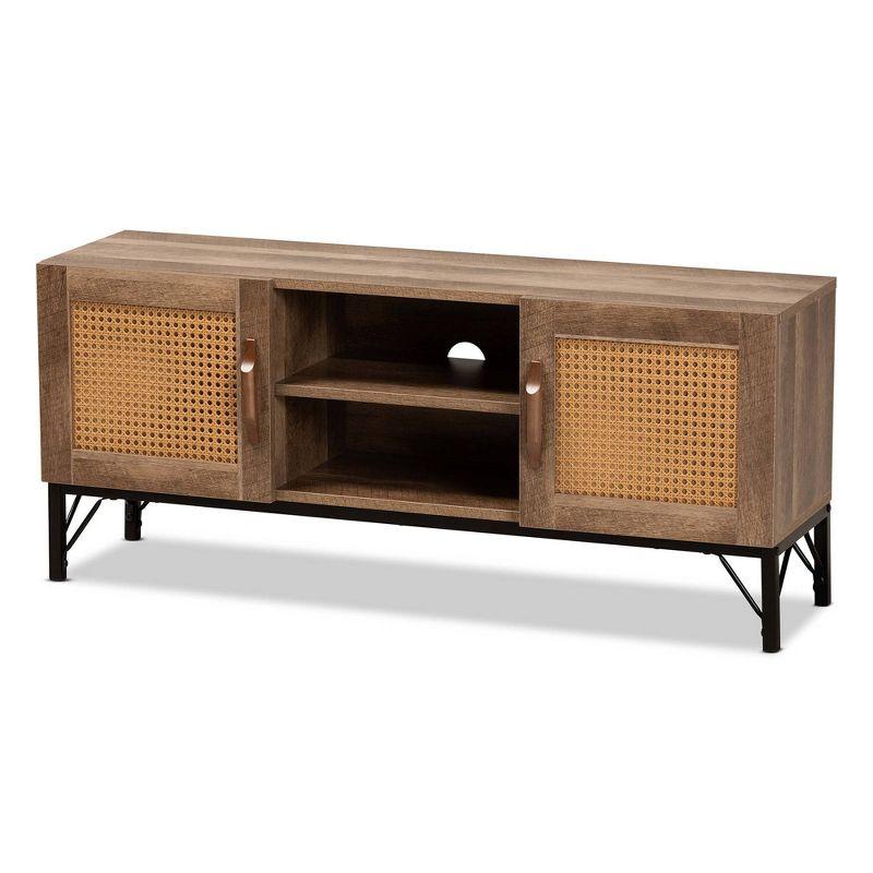 Veanna Bohemian Black Metal & Natural Wood TV Stand with Rattan Doors