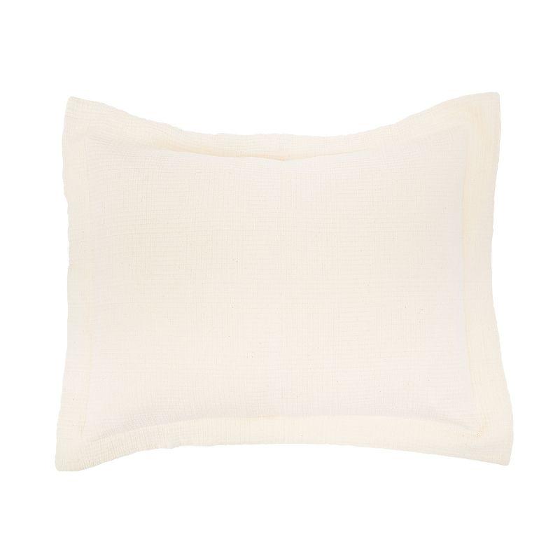 EY Essentials 20" x 26" Delfina Ivory Cotton Standard Sham - Machine Washable