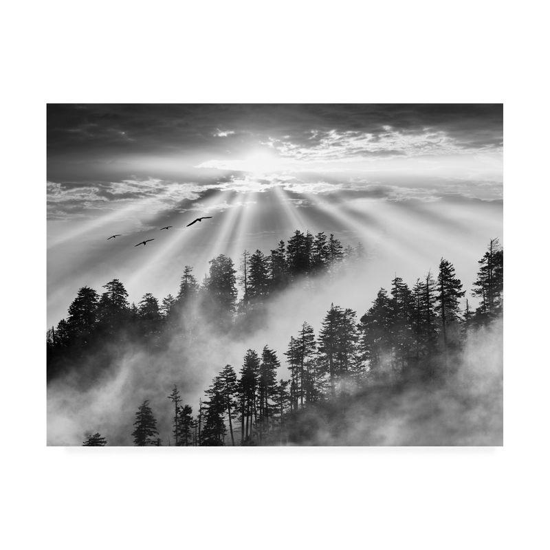 Trademark Fine Art -Monte Nagler 'Smoky Mountain Sunrise Tennessee Black And White' Canvas Art