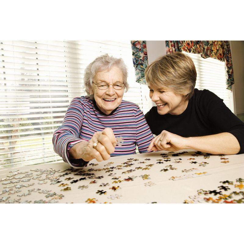 Sunsout Irish Cottage 1000 pc Special Shape  Jigsaw Puzzle 90350